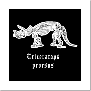 🦖 Fossil Skeleton of a Triceratops prorsus Dinosaur Posters and Art